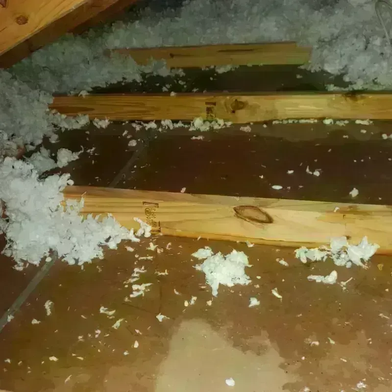 Attic Water Damage in Missoula, MT