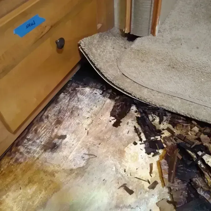 Best Wood Floor Water Damage Service in Missoula, MT